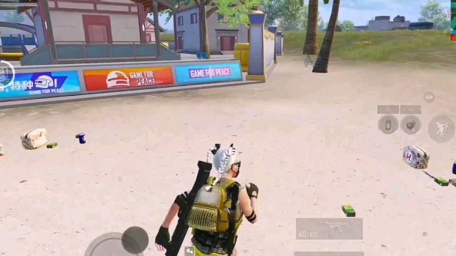 和平精英「青蛙直装」辅助，支持地铁